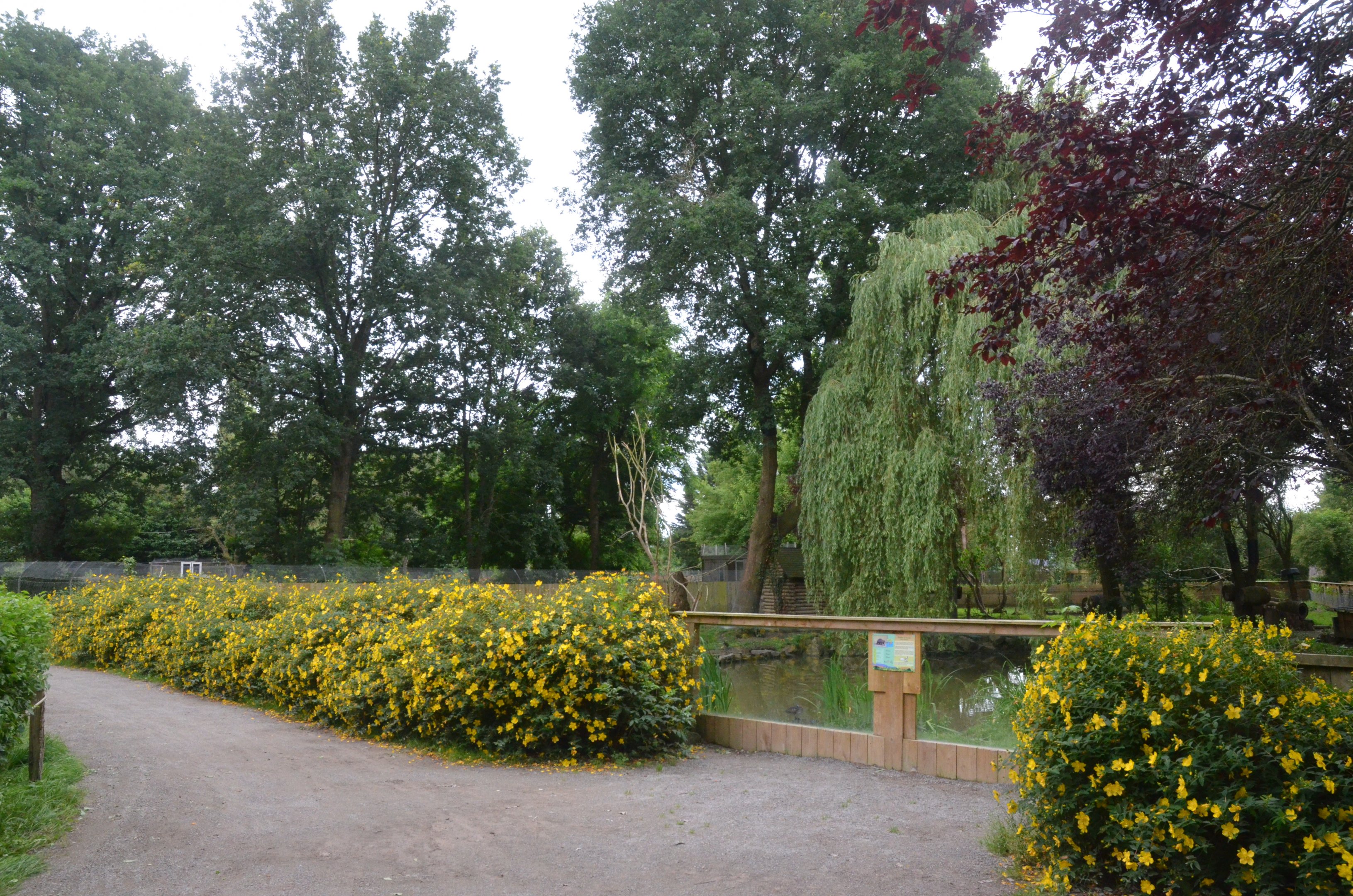 Canadian Enclosure at Spaycific'Zoo, 13/06/18