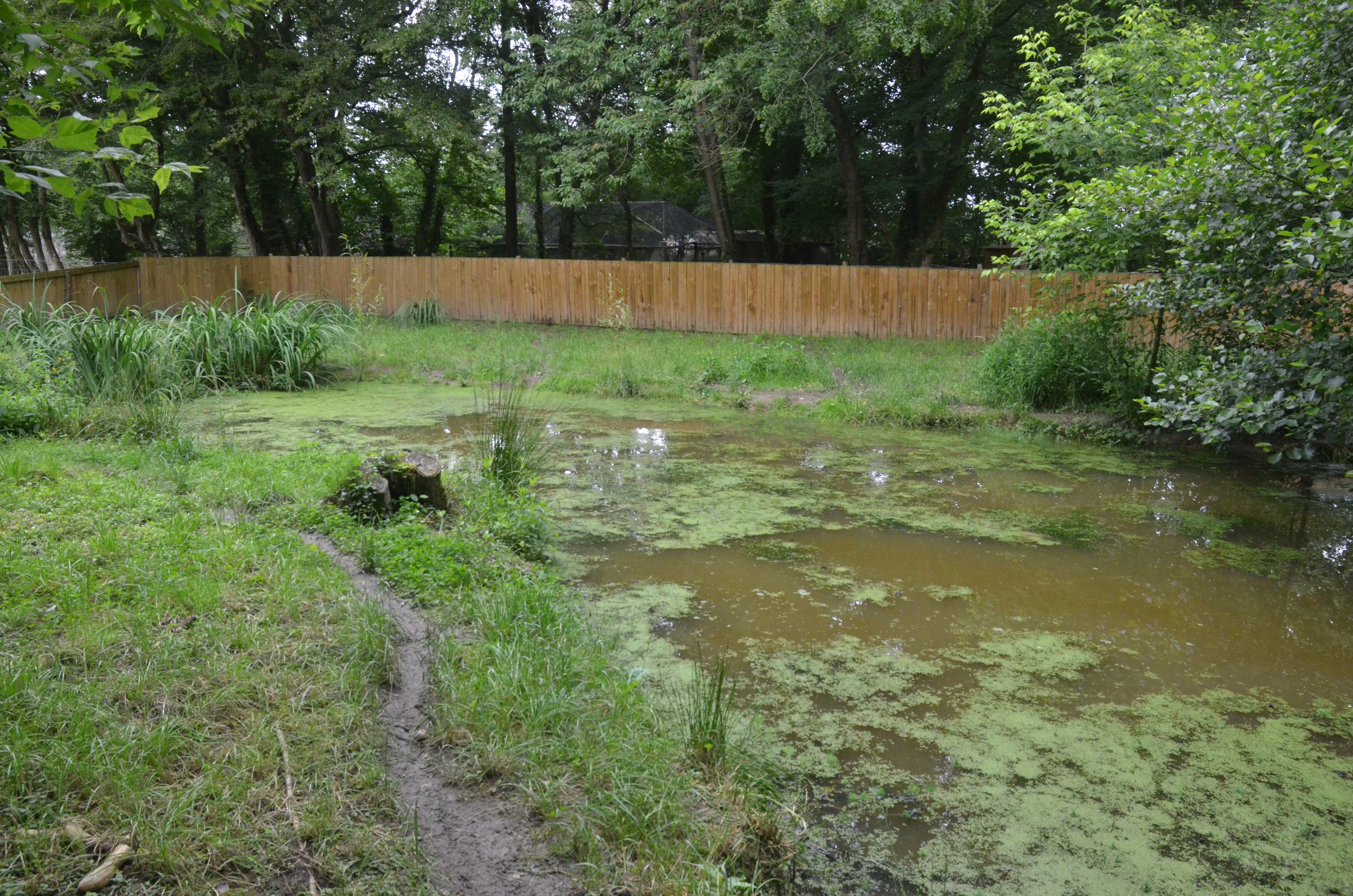 Canadian Enclosure at Spaycific'Zoo, 13/06/18