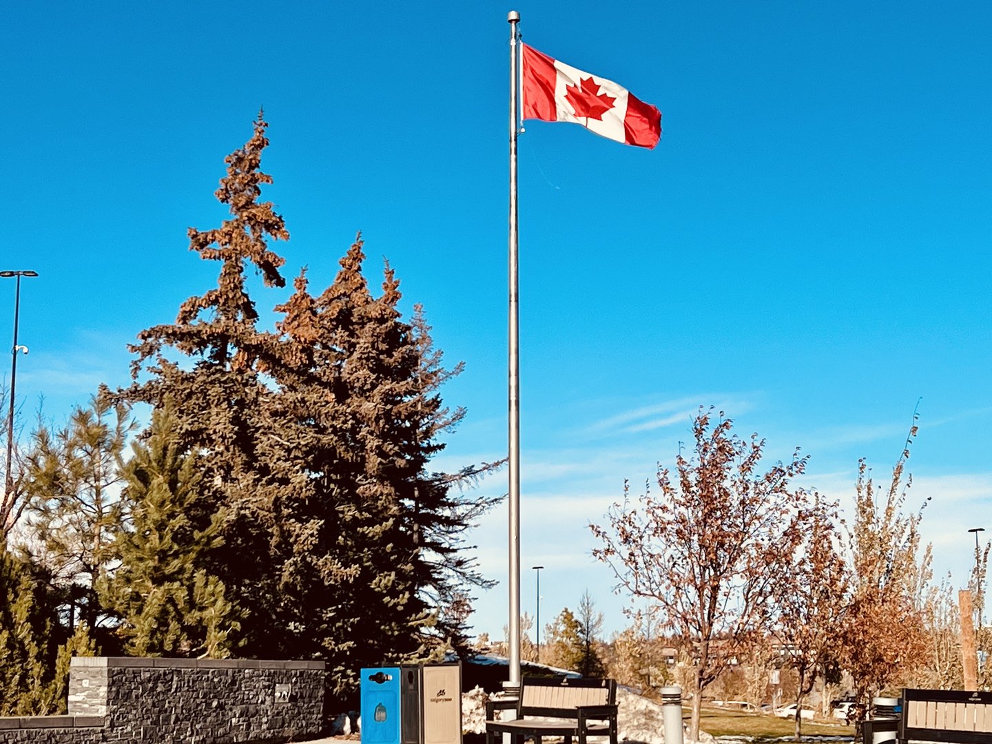 Canadian Flag
