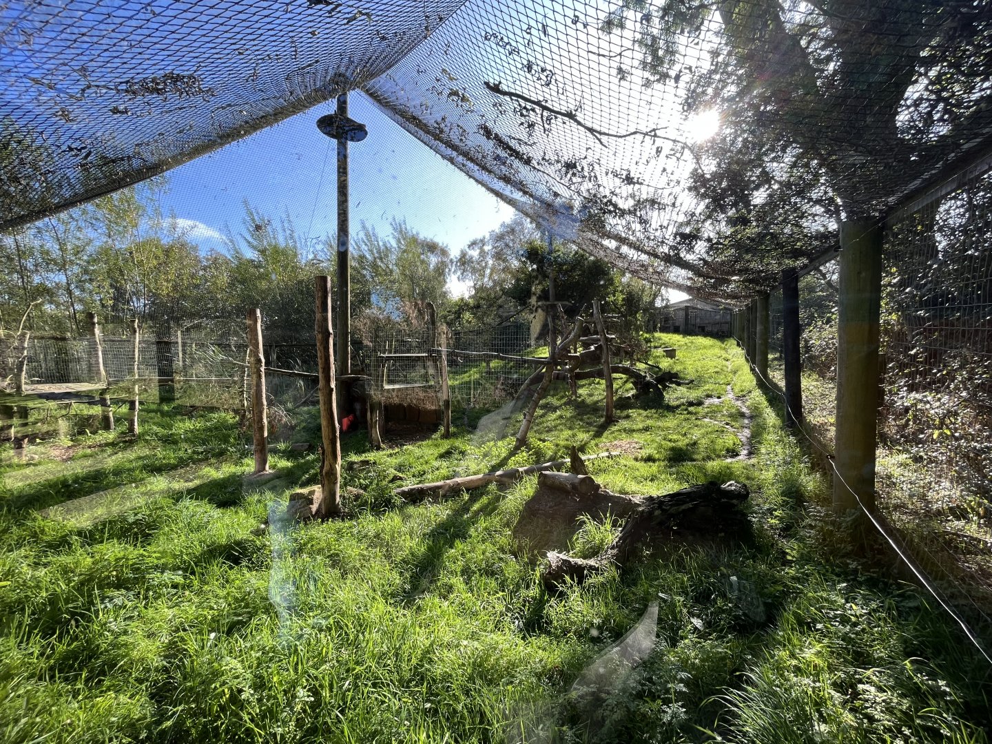 Canadian lynx enclosure 14.10.23