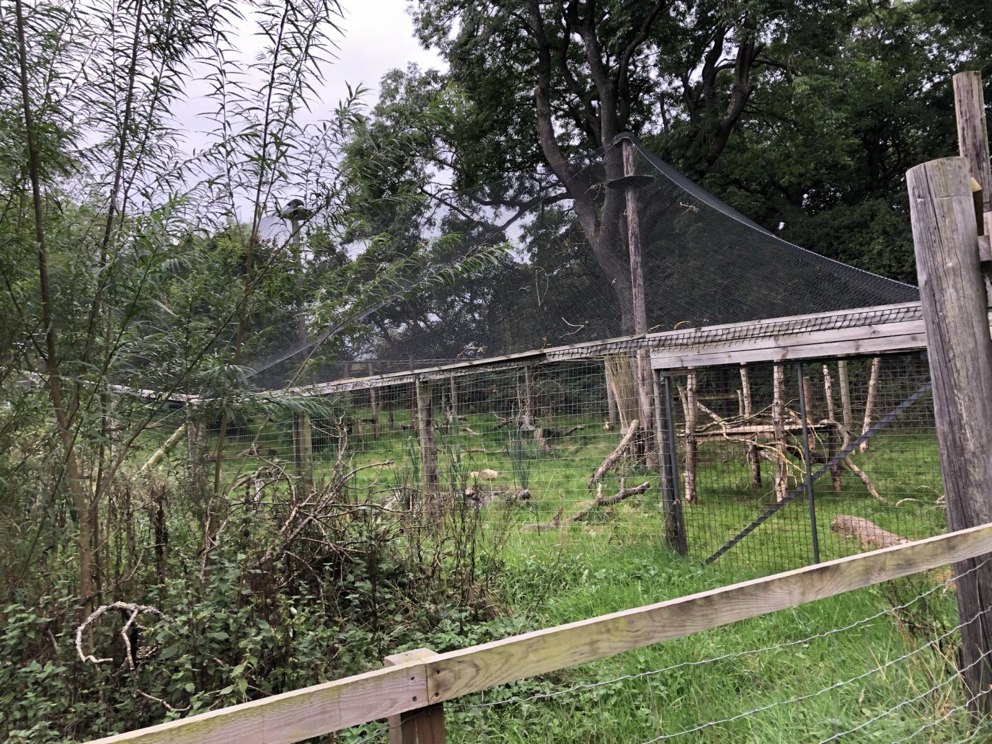 Canadian Lynx Enclosure at Northumberland Country Zoo (September 2021)