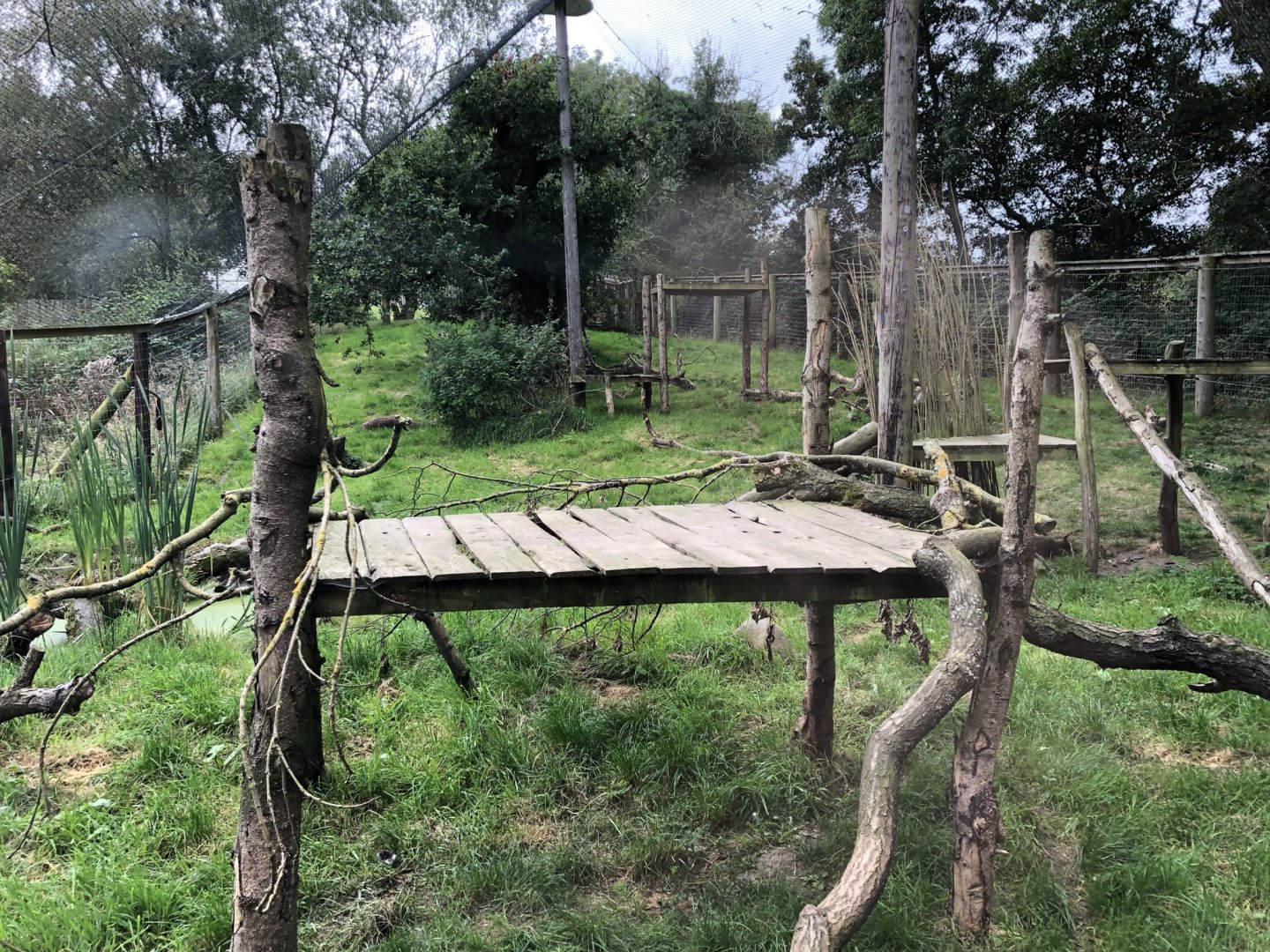Canadian Lynx Enclosure at Northumberland Country Zoo (September 2021)