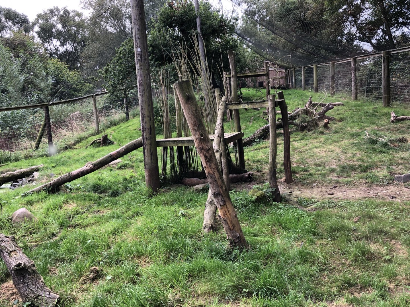 Canadian Lynx Enclosure at Northumberland Country Zoo (September 2021)