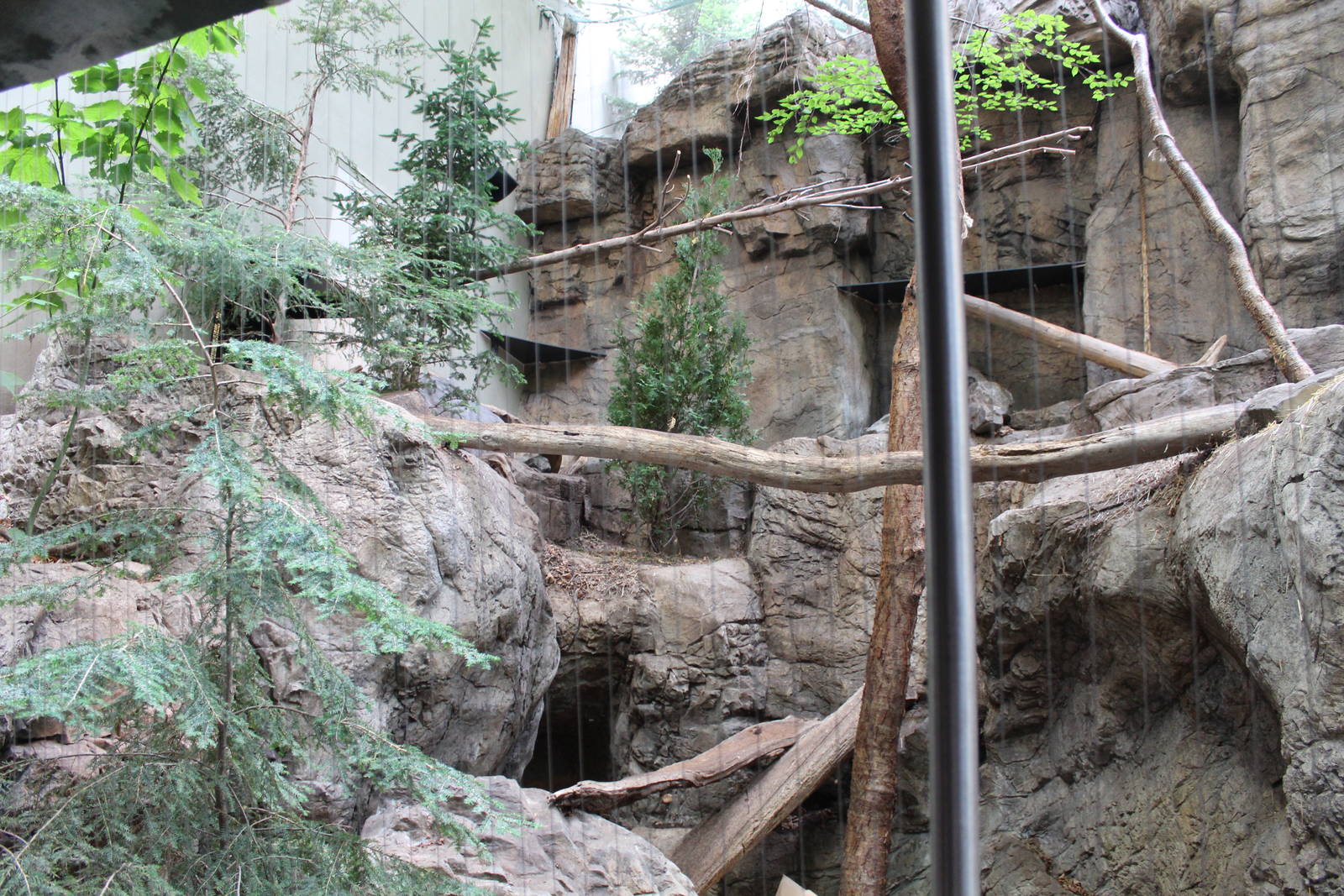 Canadian Lynx Enclosure, Canadian Maple Forest Hall - June 2016