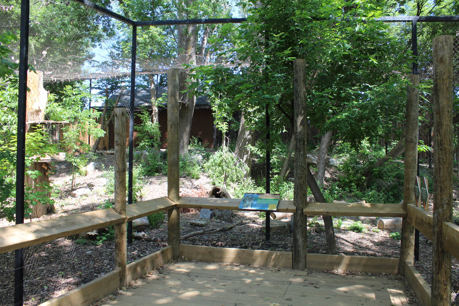 Canadian Lynx Enclosure - June 2016
