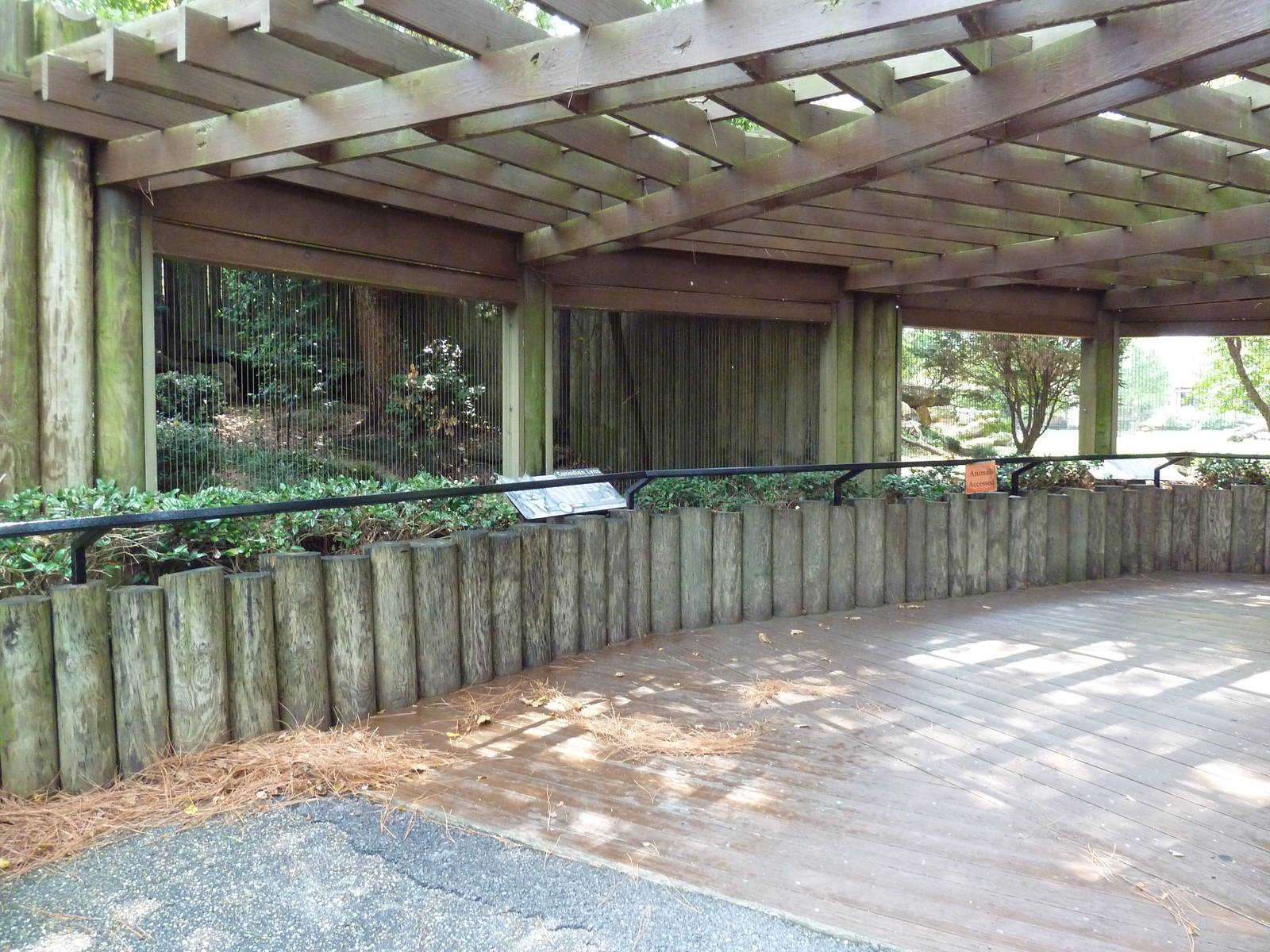 Canadian Lynx Exhibit