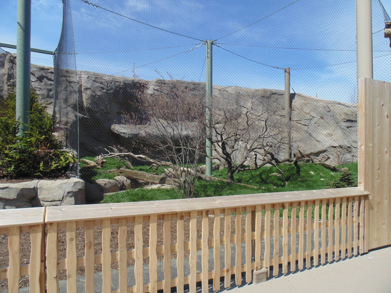 Canadian Lynx Exhibit