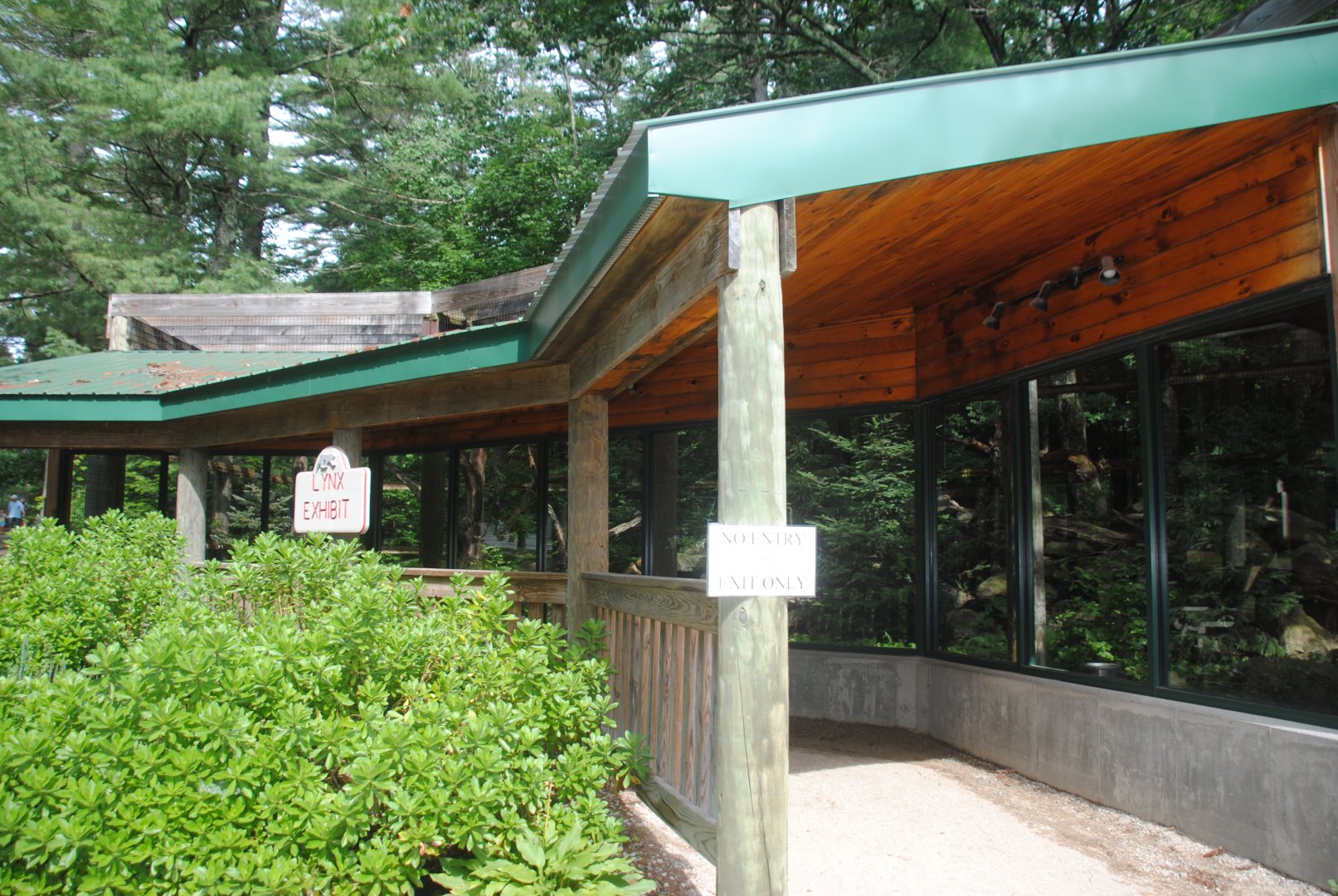 Canadian Lynx exhibit