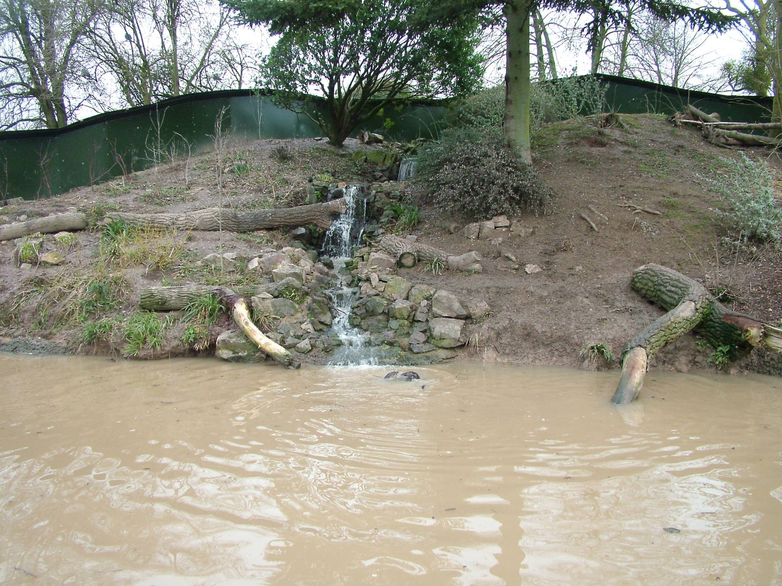 Canadian Otter exhibit at Slimbridge 06/02/10