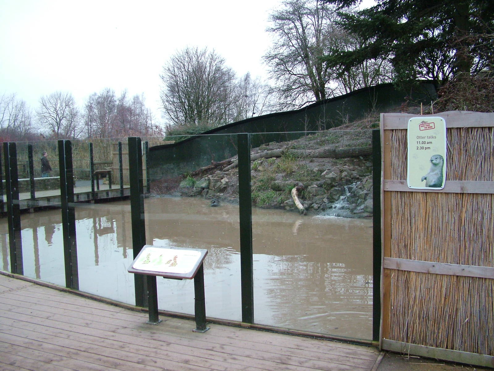 Canadian Otter exhibit at Slimbridge 06/02/10