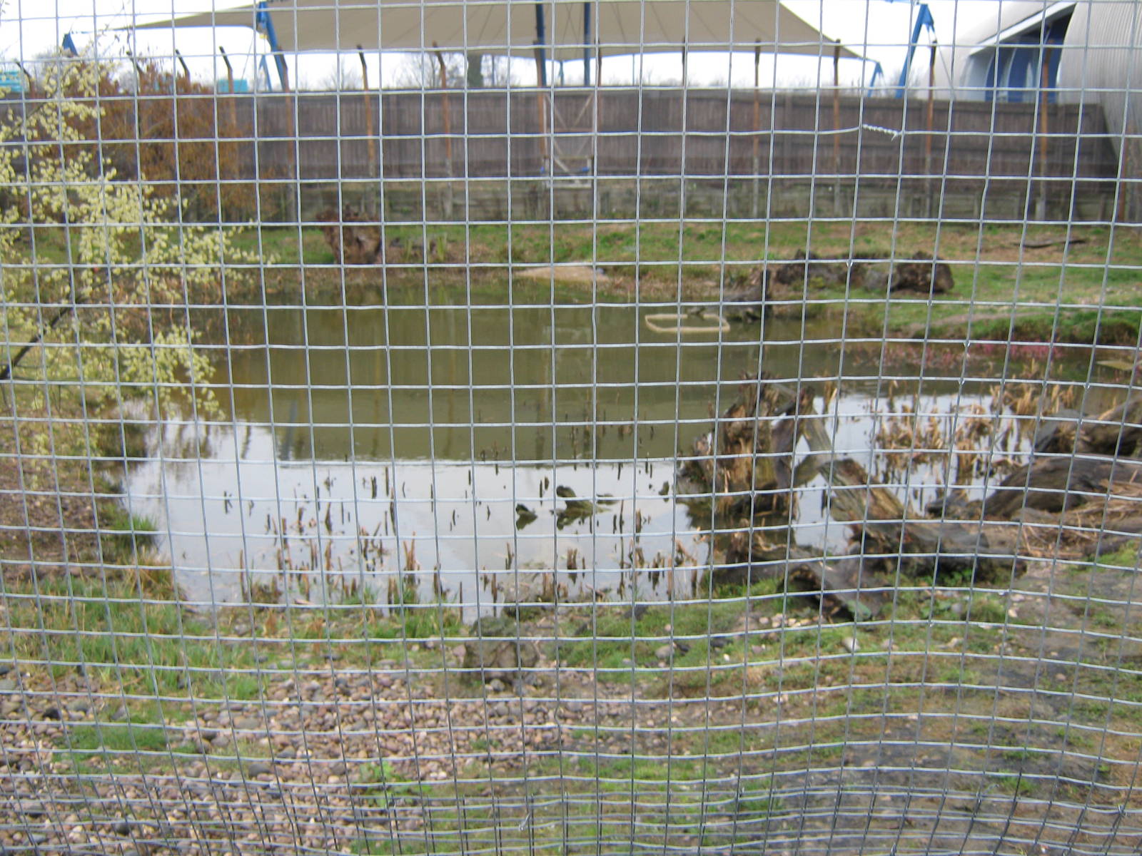 Canadian Otter exibit at Blue Planet Aquarium 20/3/10
