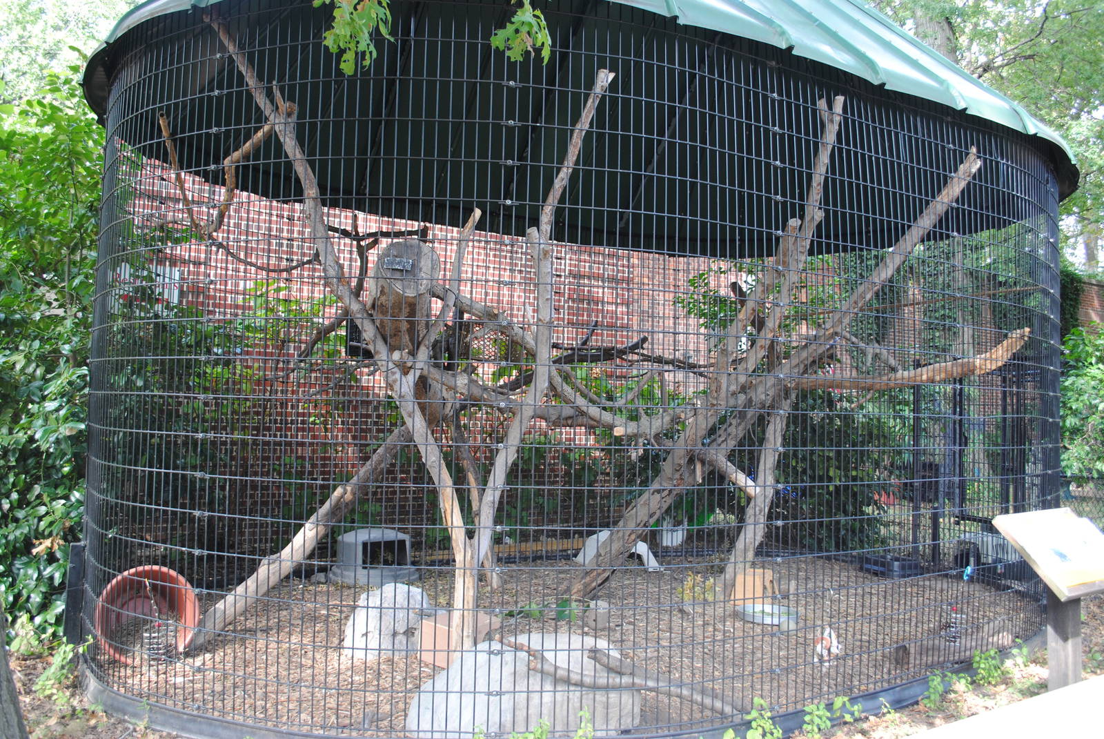 Canadian Porcupines exhibit
