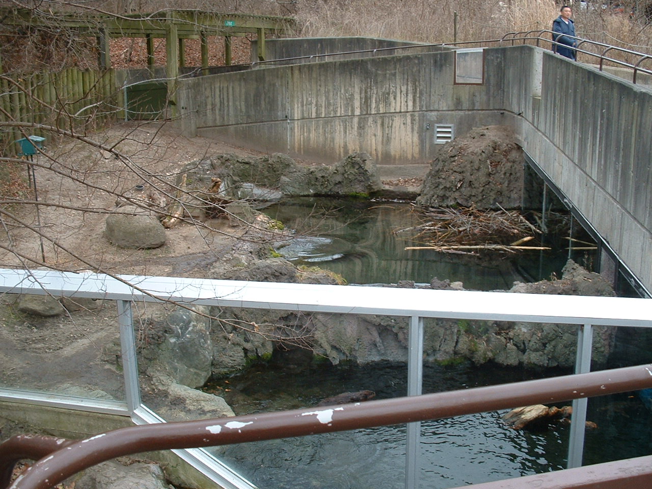 Canadian River Otter and Canadian Beaver Enclosures - Nov 2012