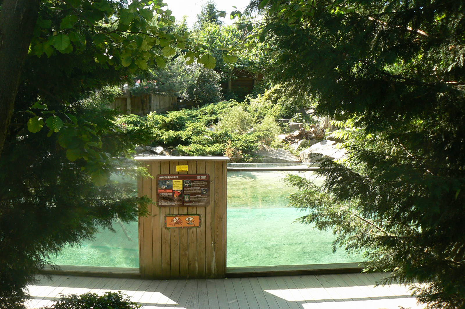 Canadian river otters exhibit