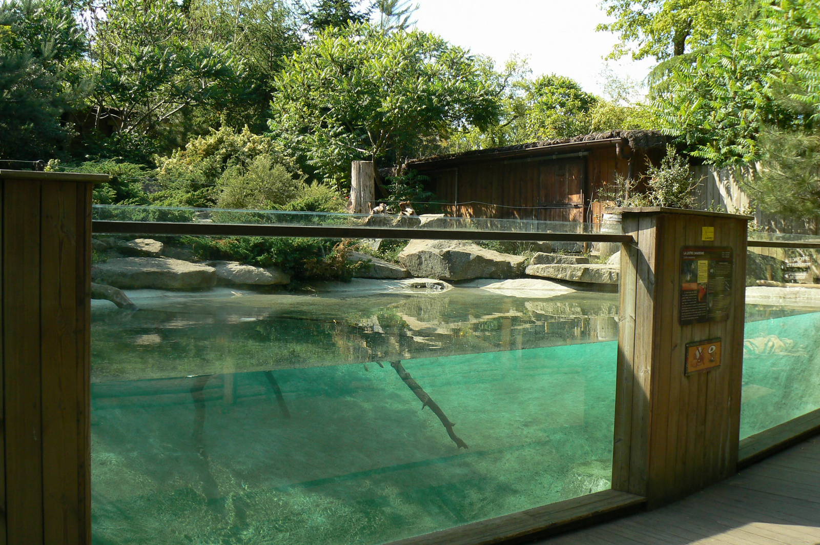 Canadian river otters exhibit