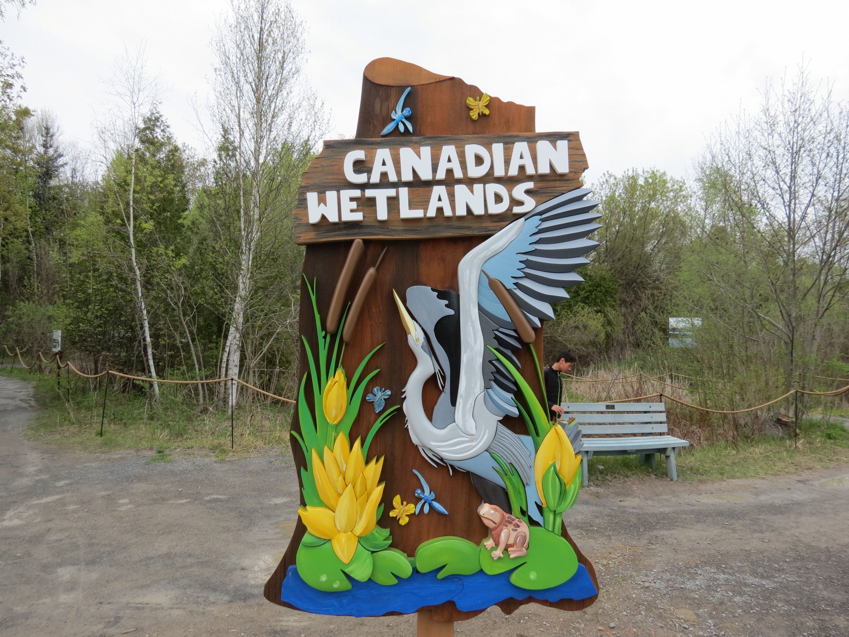 Canadian Wetlands