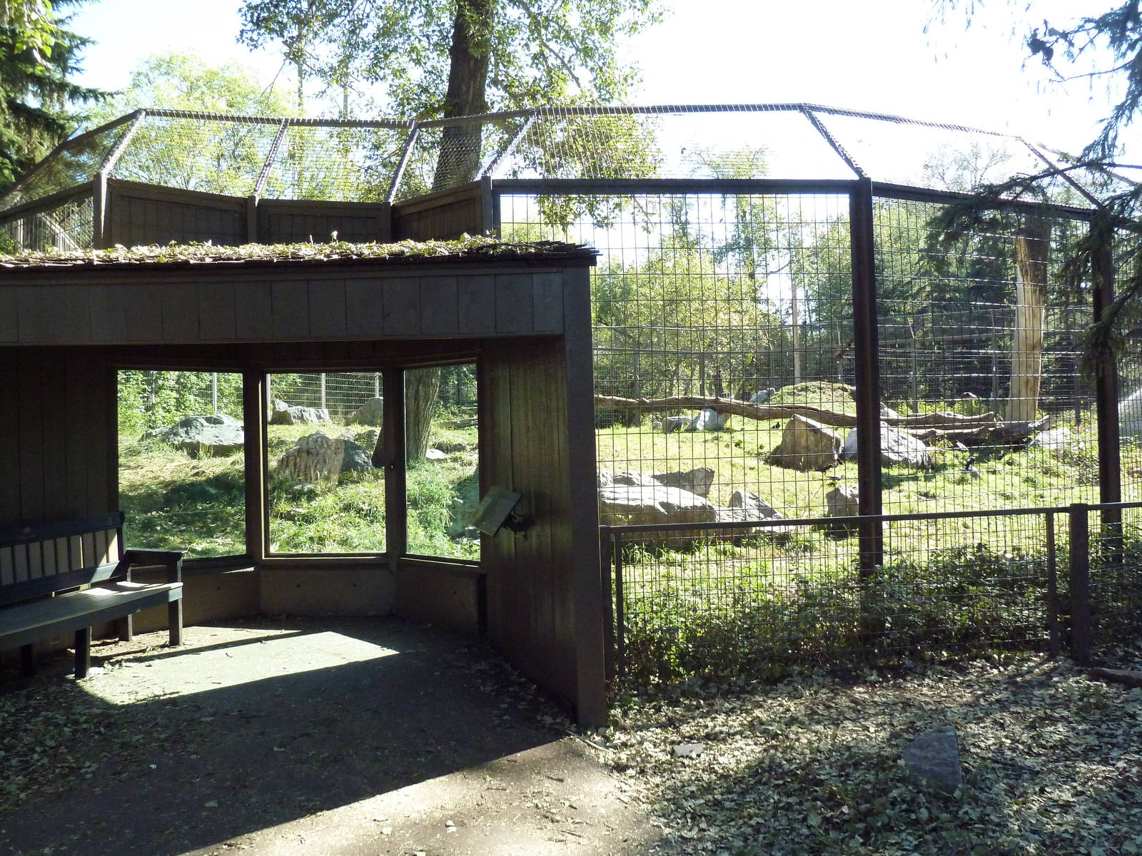 Canadian Wilds - Black Bear Exhibit