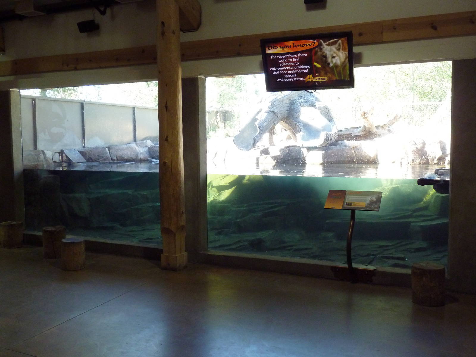 Canadian Wilds - Cequel Energy Lodge - River Otter Exhibit