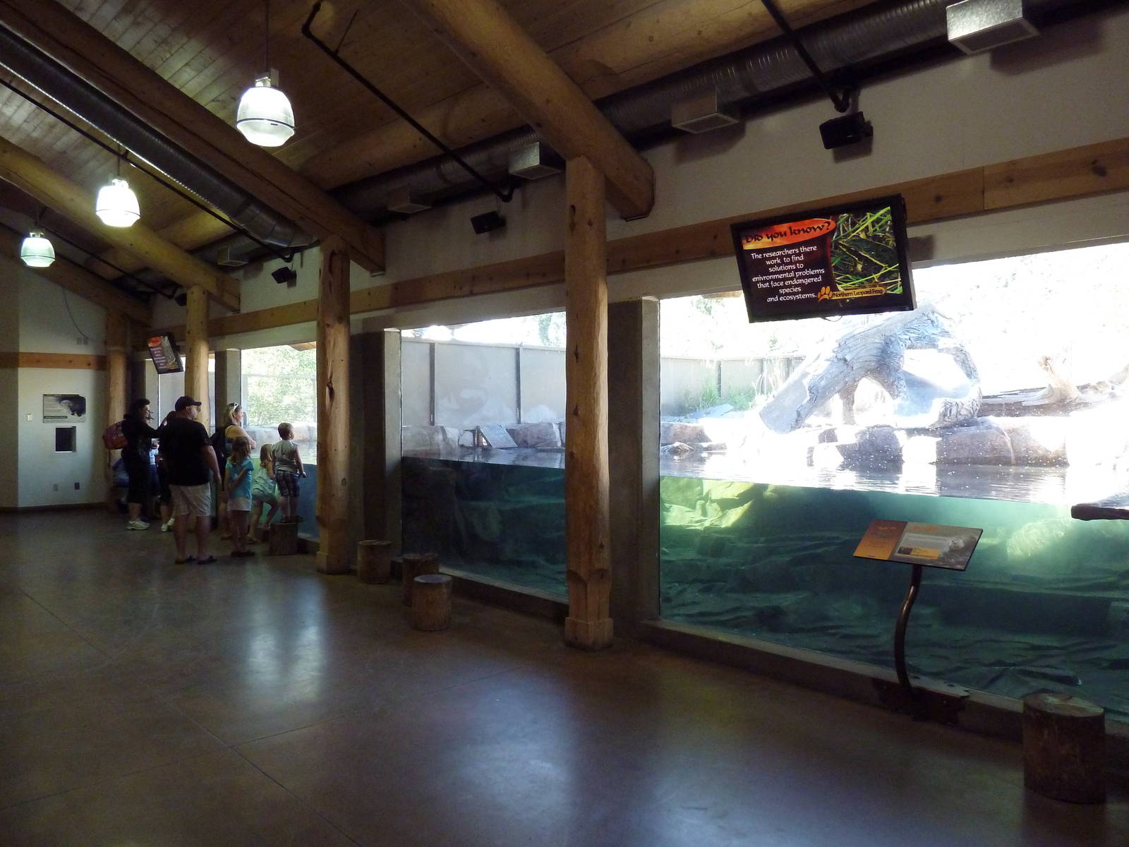Canadian Wilds - Cequel Energy Lodge - River Otter Exhibit