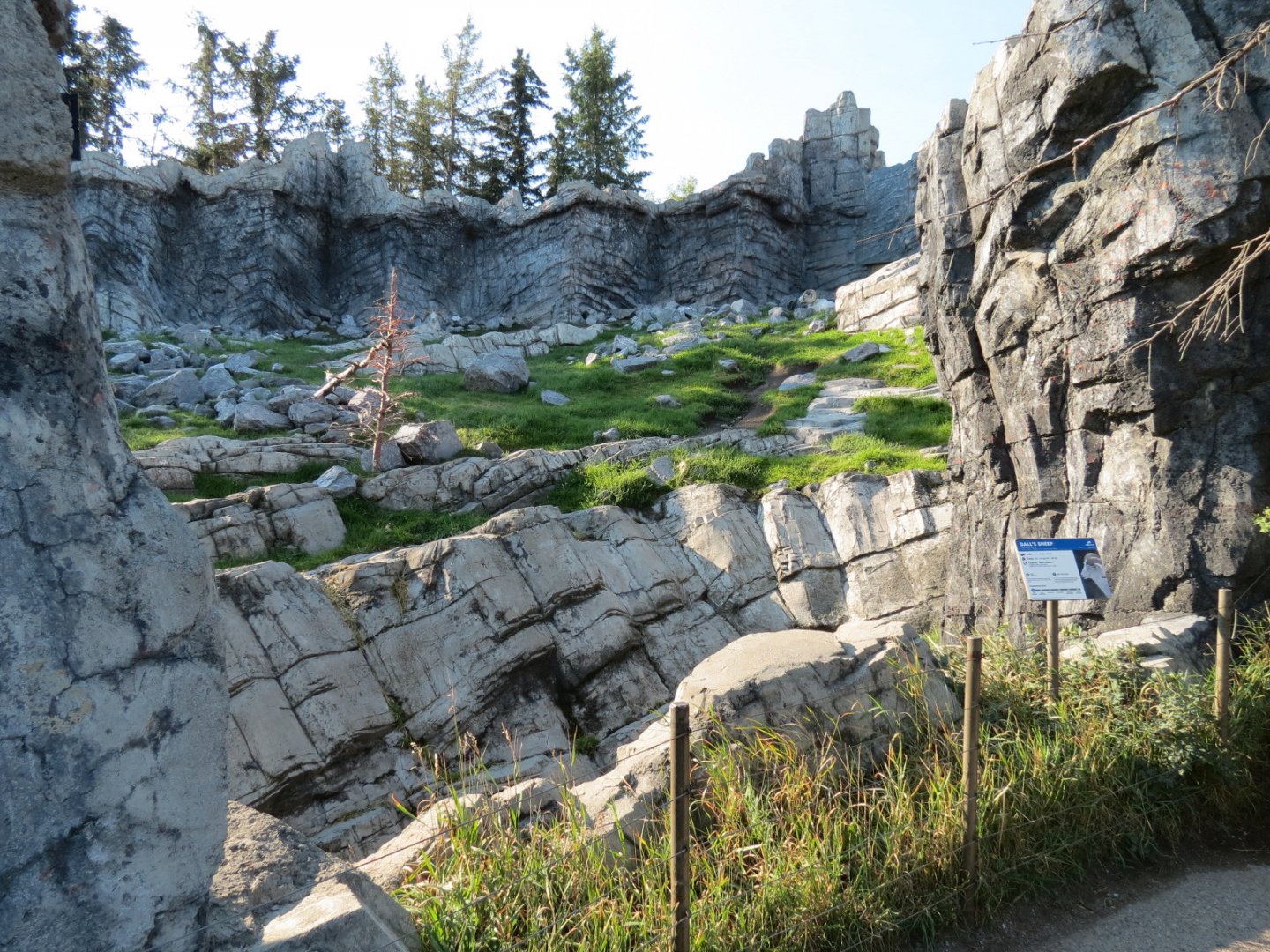 Canadian Wilds - Dall's Sheep Exhibit