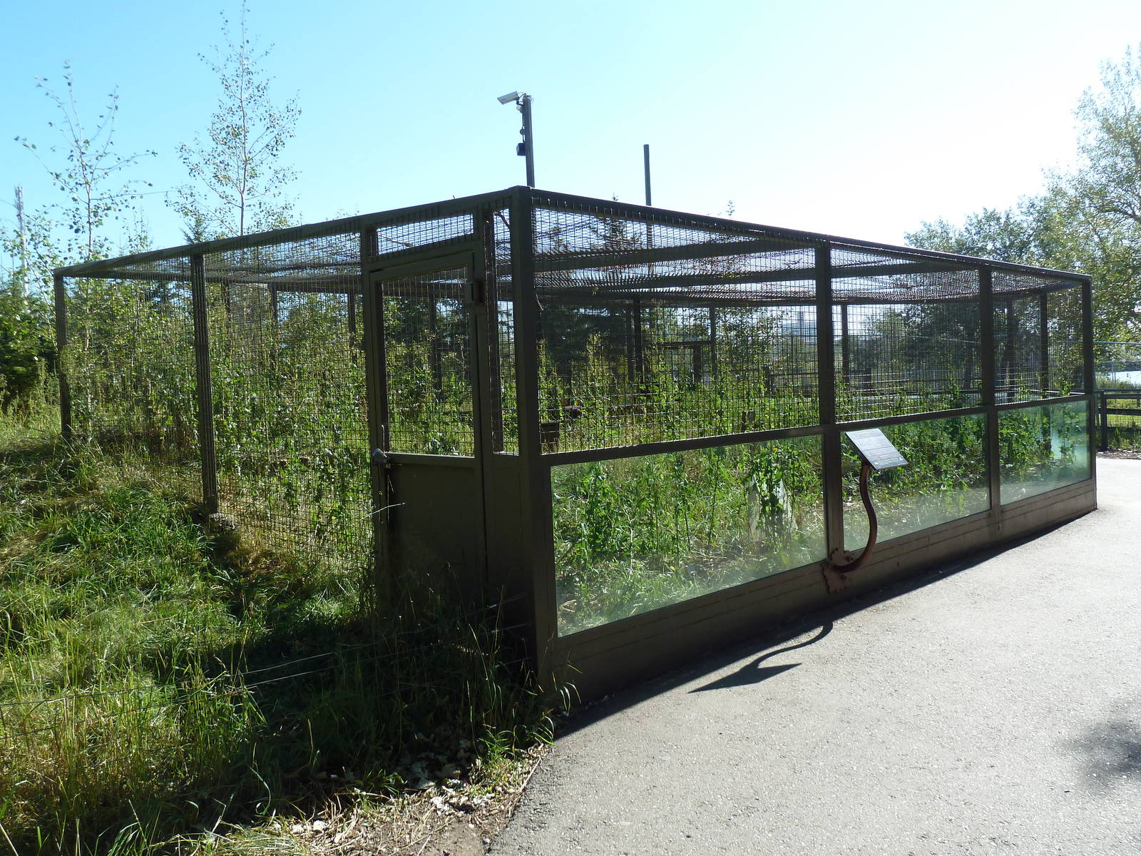 Canadian Wilds - Empty Exhibit (ex-swift fox enclosure)