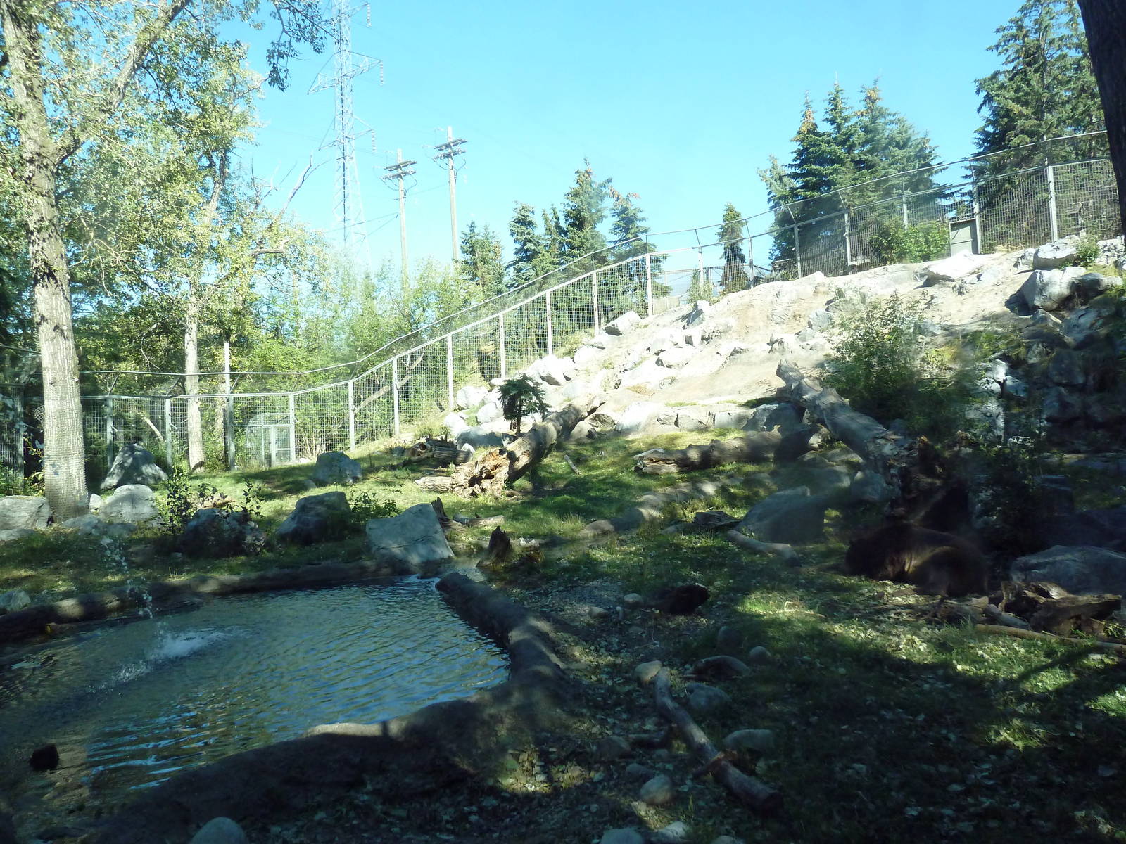 Canadian Wilds - Grizzly Bear Exhibit