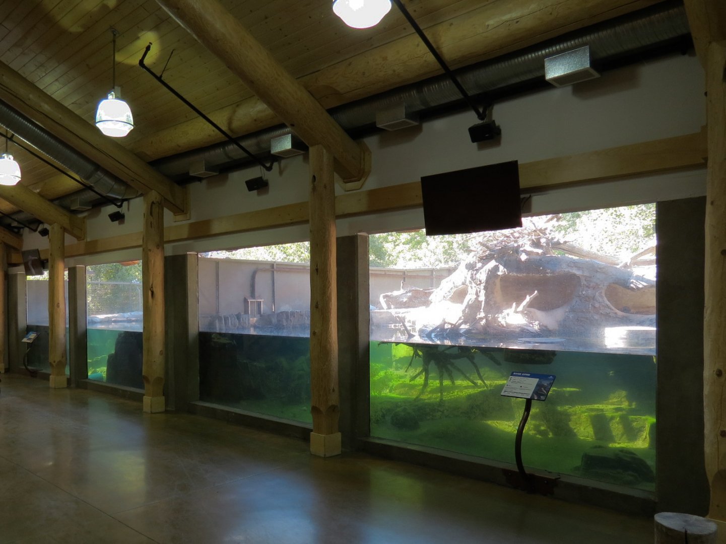 Canadian Wilds - River Otter Exhibits
