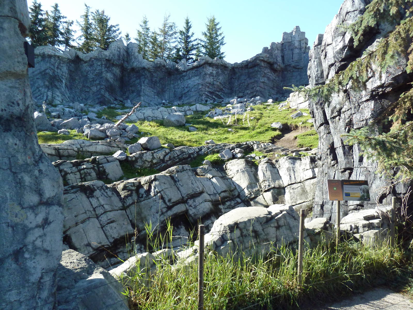 Canadian Wilds - Rocky Mountain Goat Exhibit