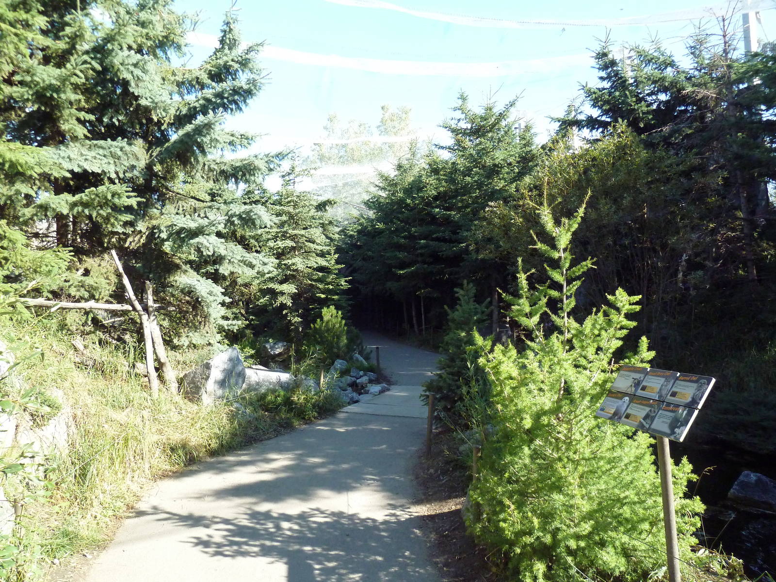 Canadian Wilds - Rocky Mountain Walk-Through Aviary