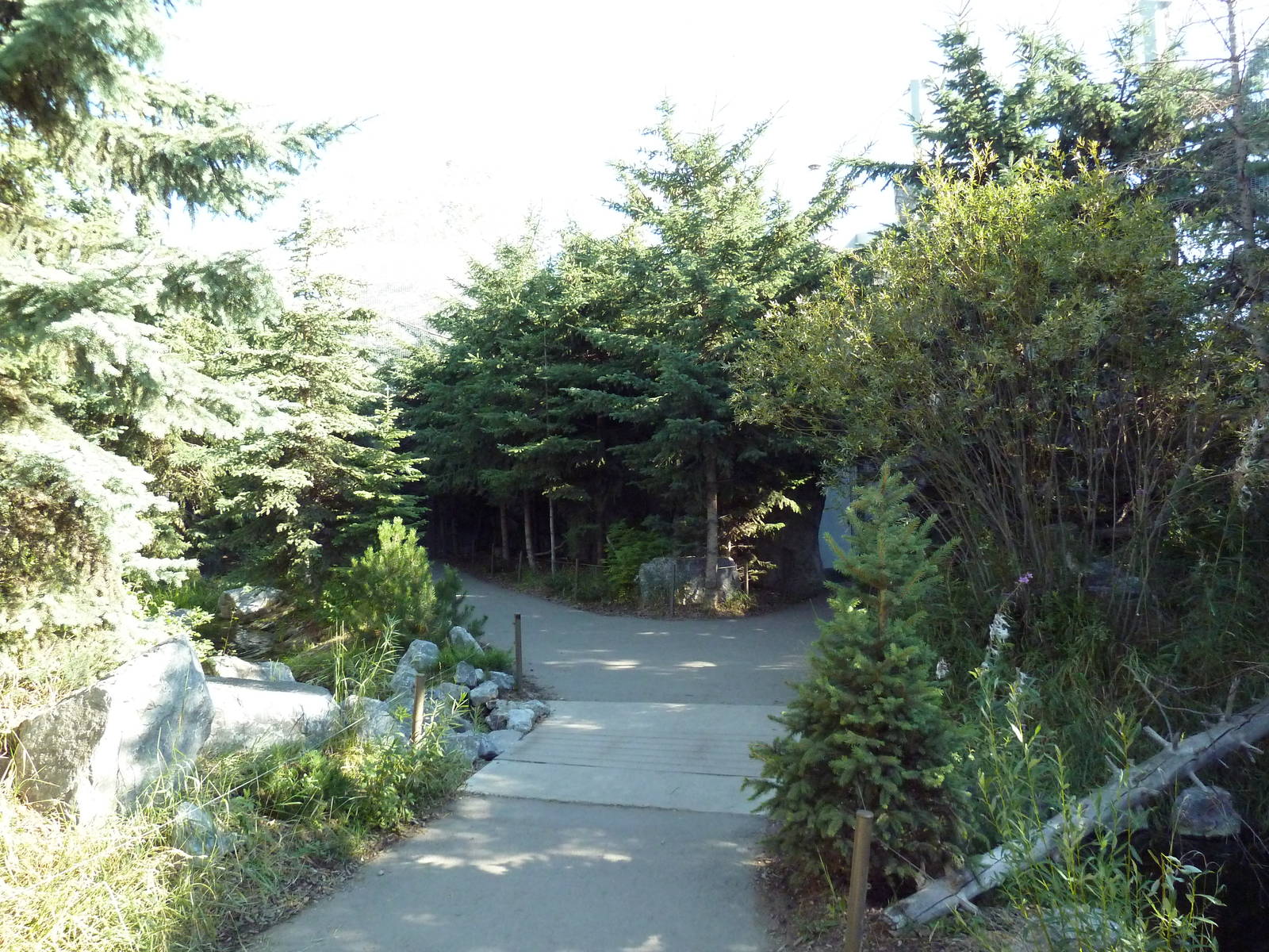 Canadian Wilds - Rocky Mountain Walk-Through Aviary