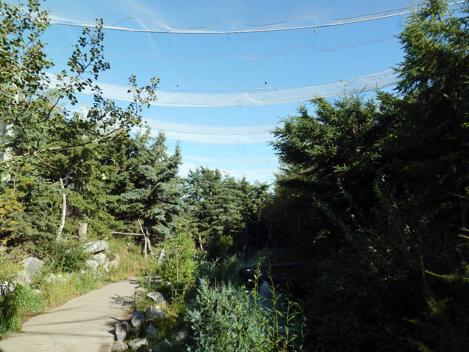 Canadian Wilds - Rocky Mountain Walk-Through Aviary