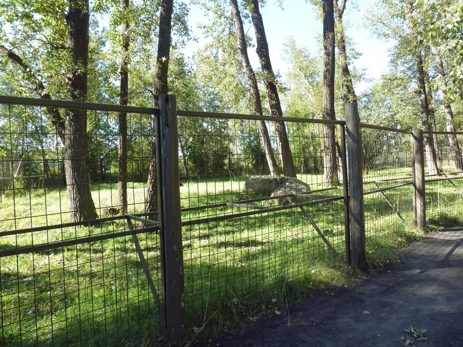 Canadian Wilds - Sandhill Crane/Wild Turkey Exhibit (ex-moose enclosure)
