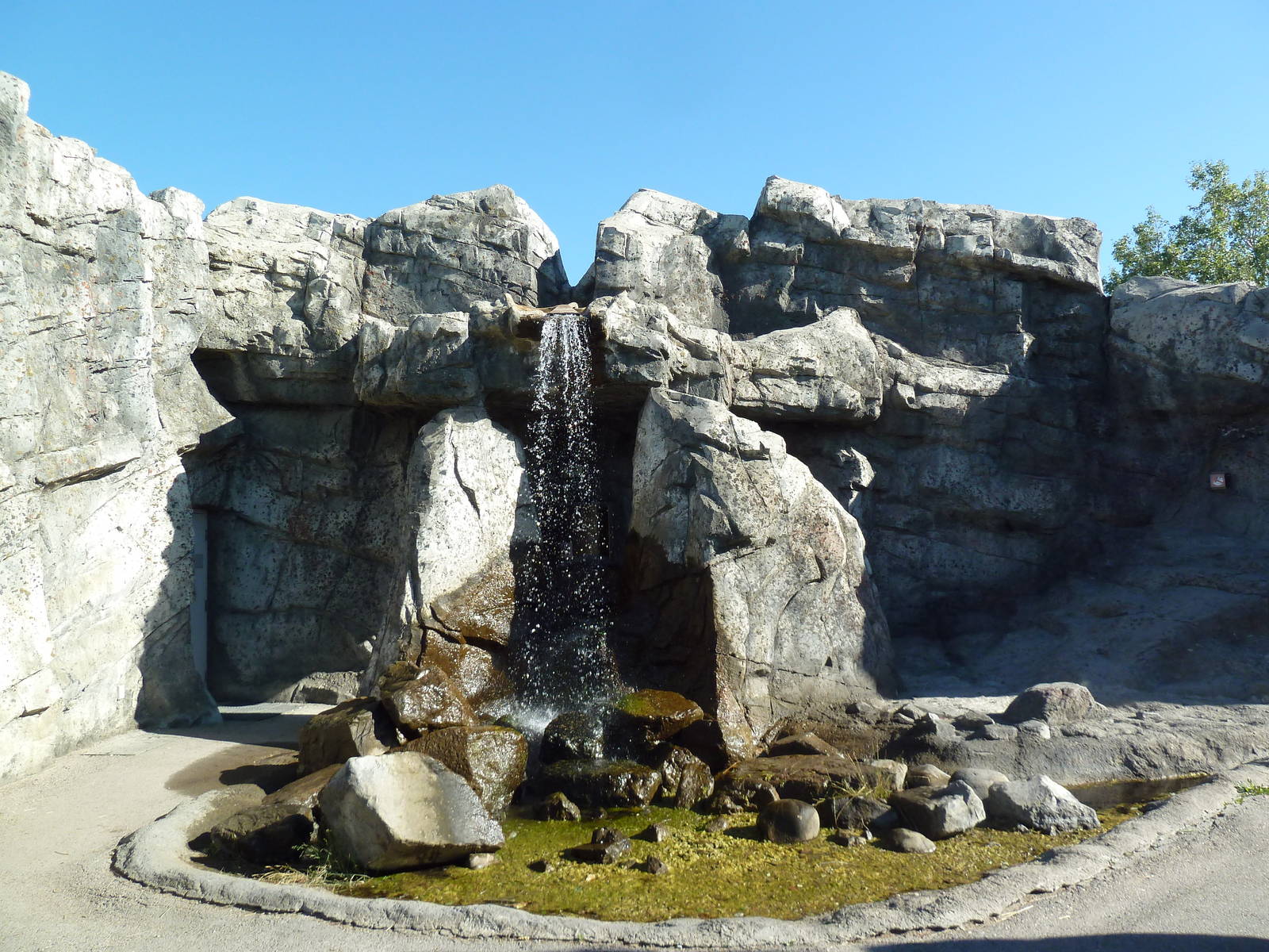 Canadian Wilds - Waterfall + Washrooms (behind the water!)