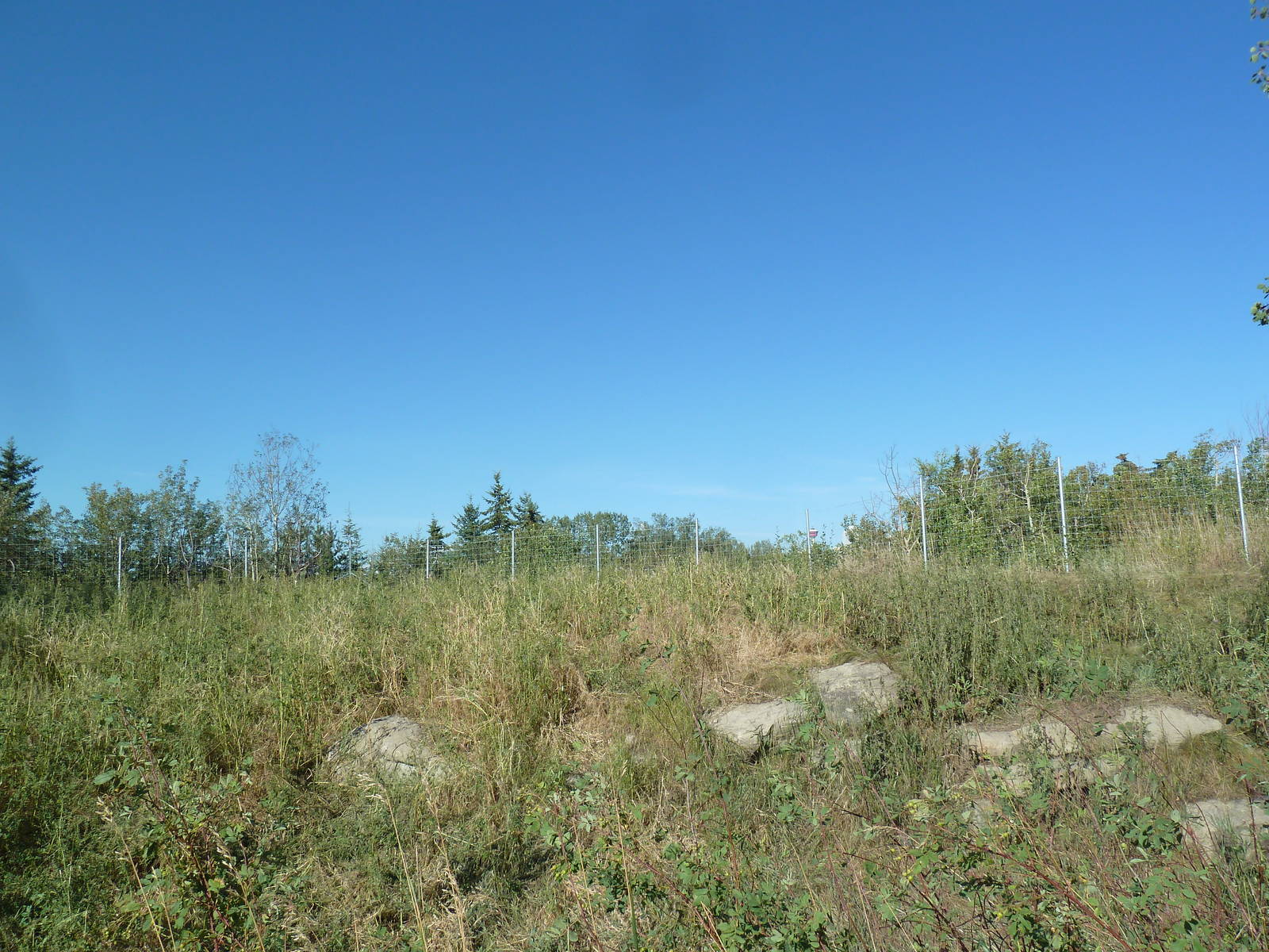 Canadian Wilds - White-Tailed Deer Exhibit