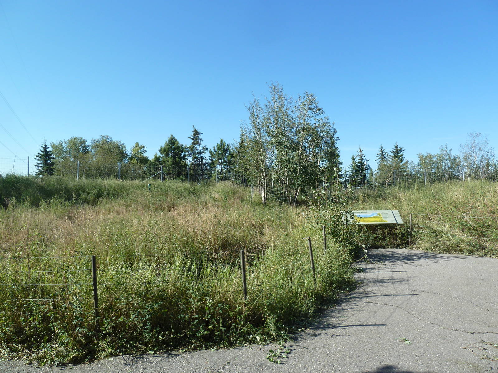 Canadian Wilds - White-Tailed Deer Exhibit