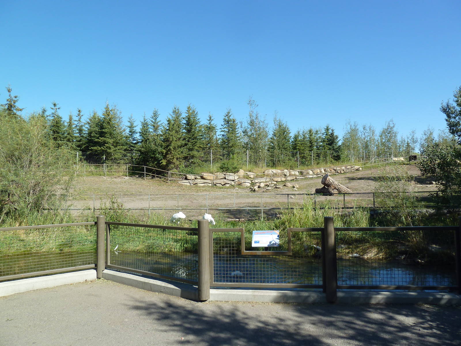 Canadian Wilds - Whooping Crane + Bison Exhibits