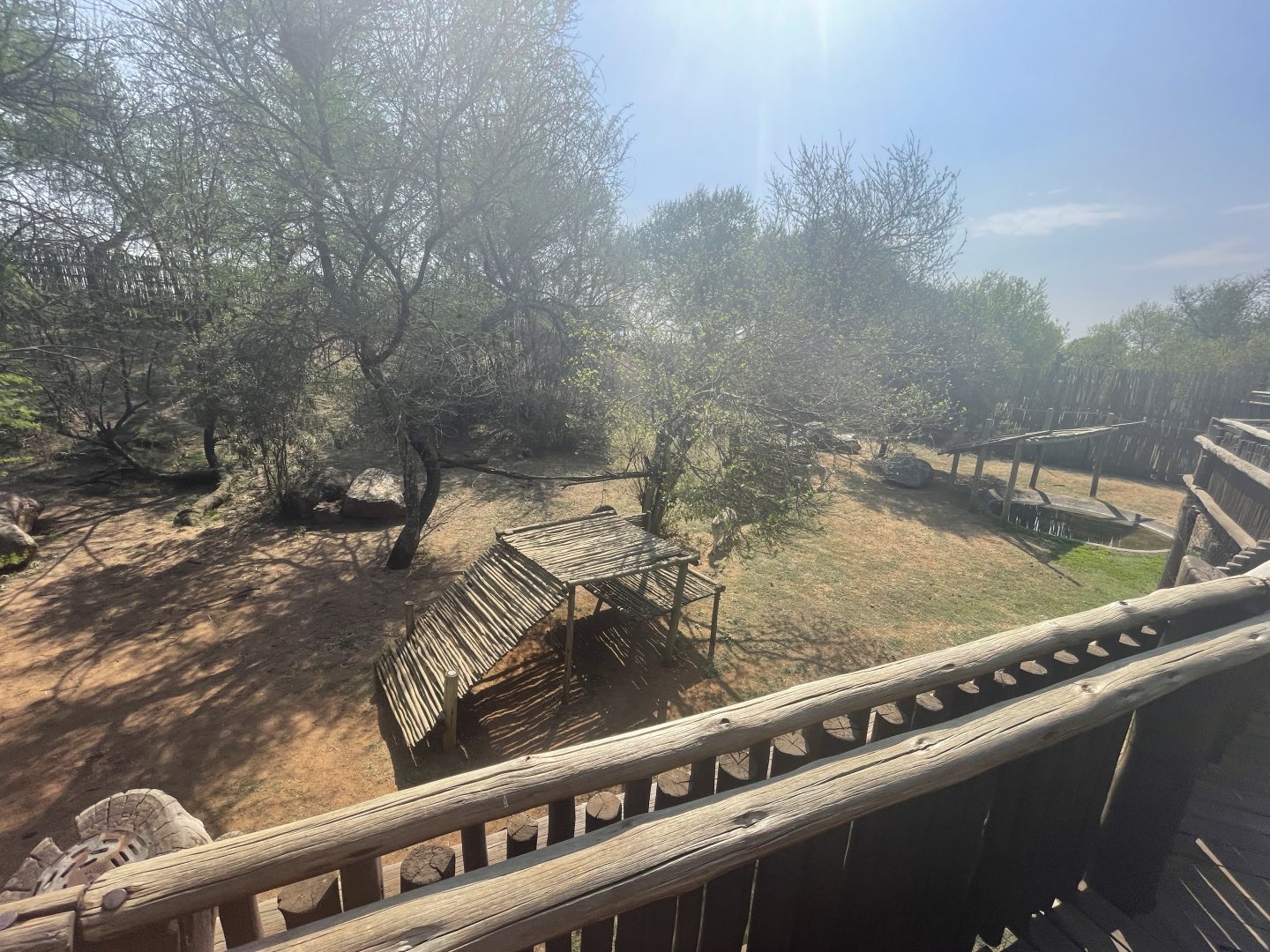 Canadian Wolf Enclosure (Canis lupus occidentalis)