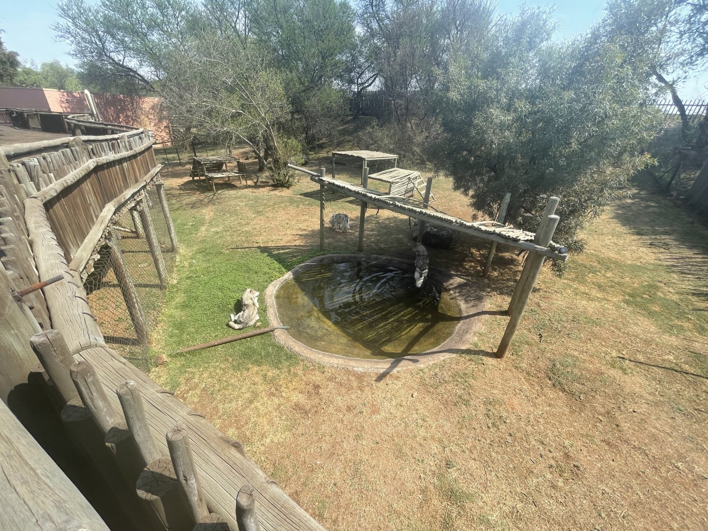Canadian Wolf Enclosure (Canis lupus occidentalis)