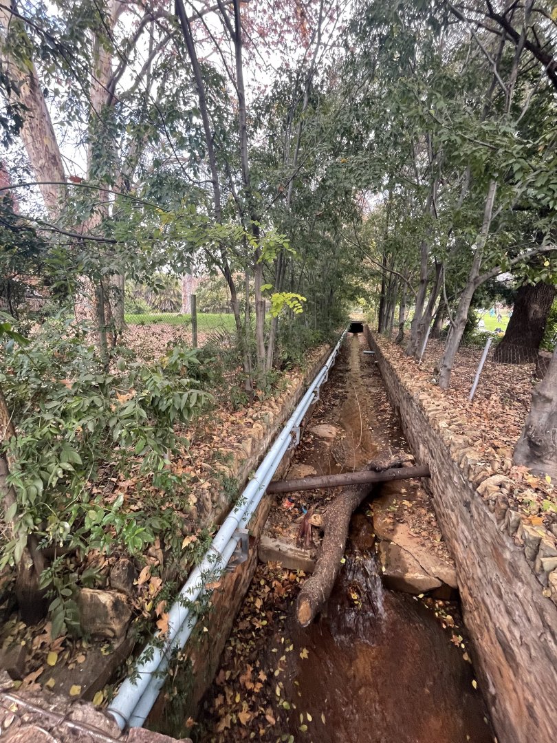 Canal Flowing through the Zoo (Bongo Exhibit on left)