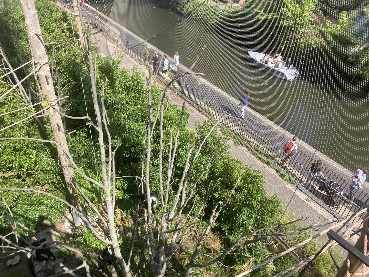 Canal View from Monkey Valley