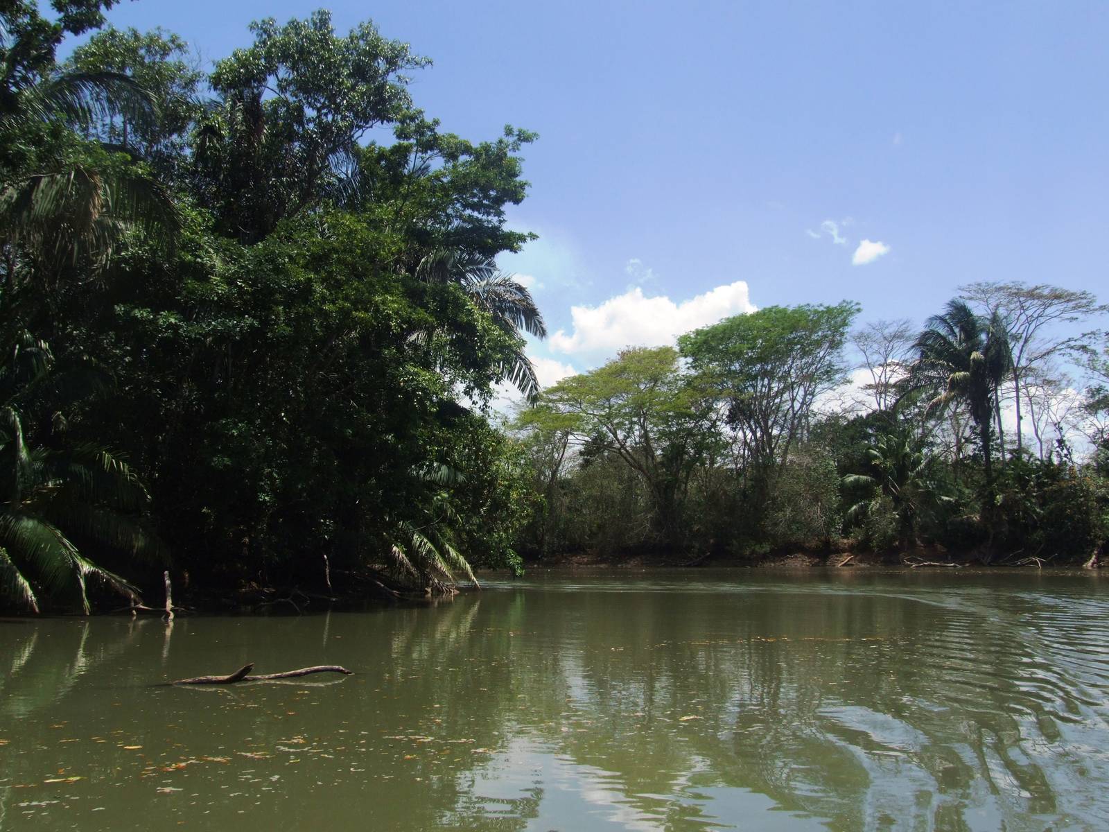Canals of Ca?o Negro, 17/04/14