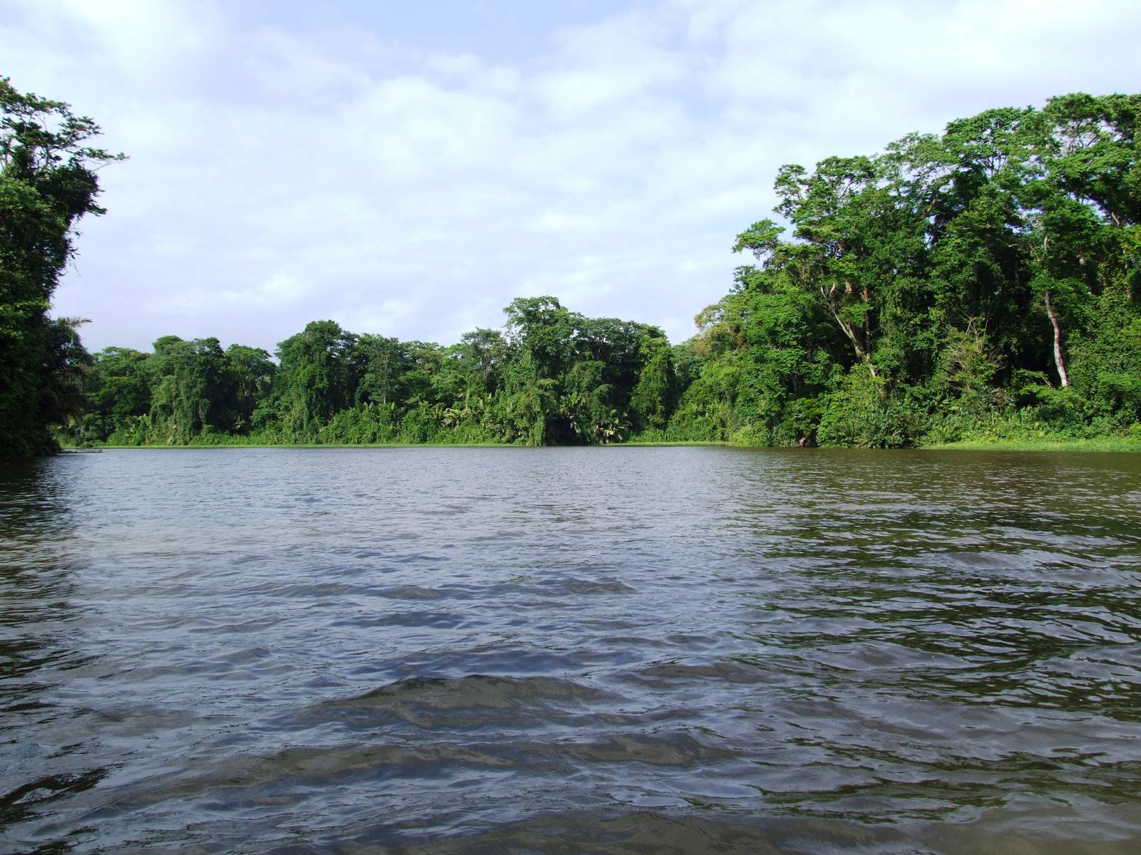 Canals of Tortuguero, 13/04/14