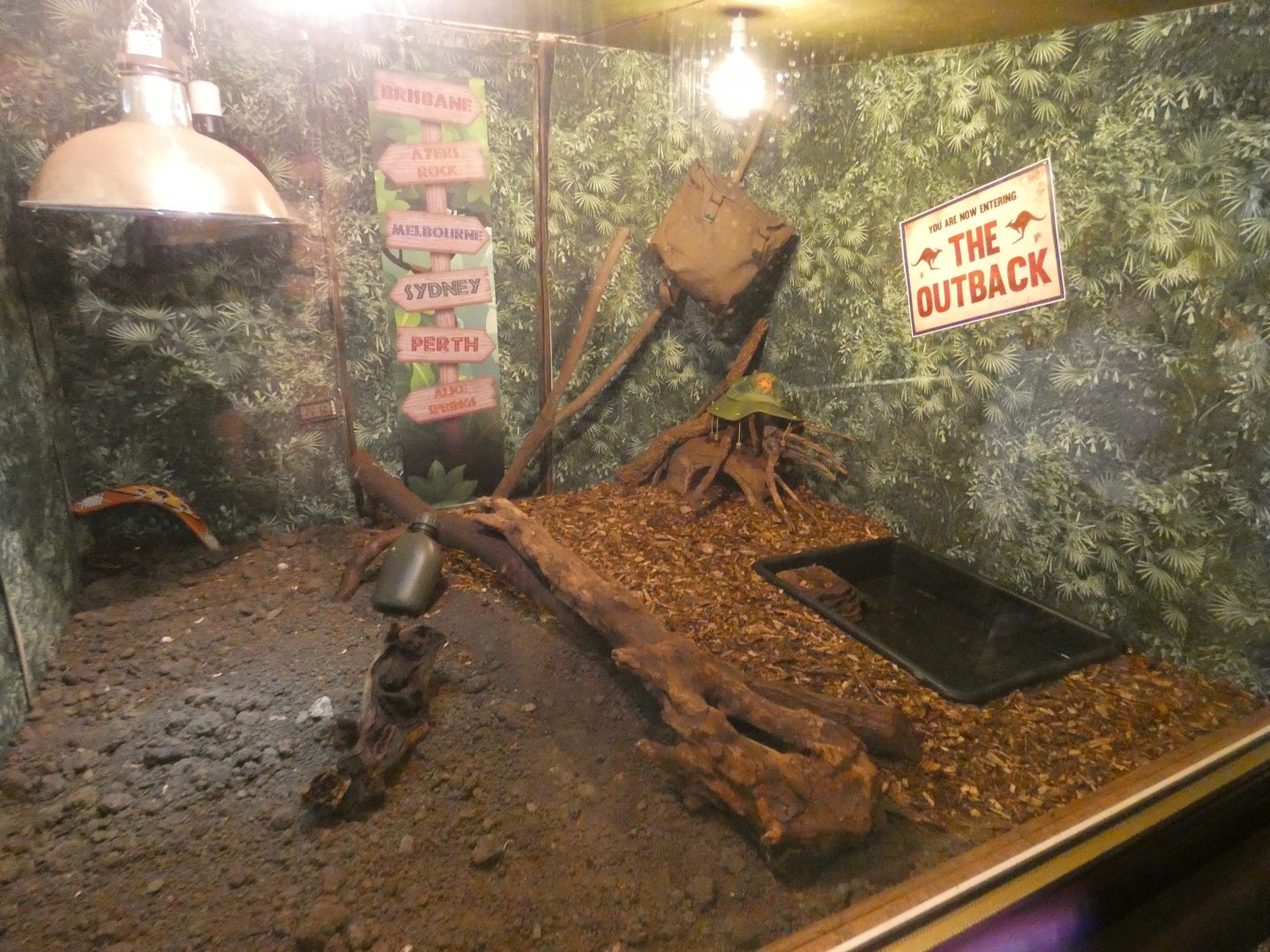 Cane toad enclosure (Greenacres Animal Park)