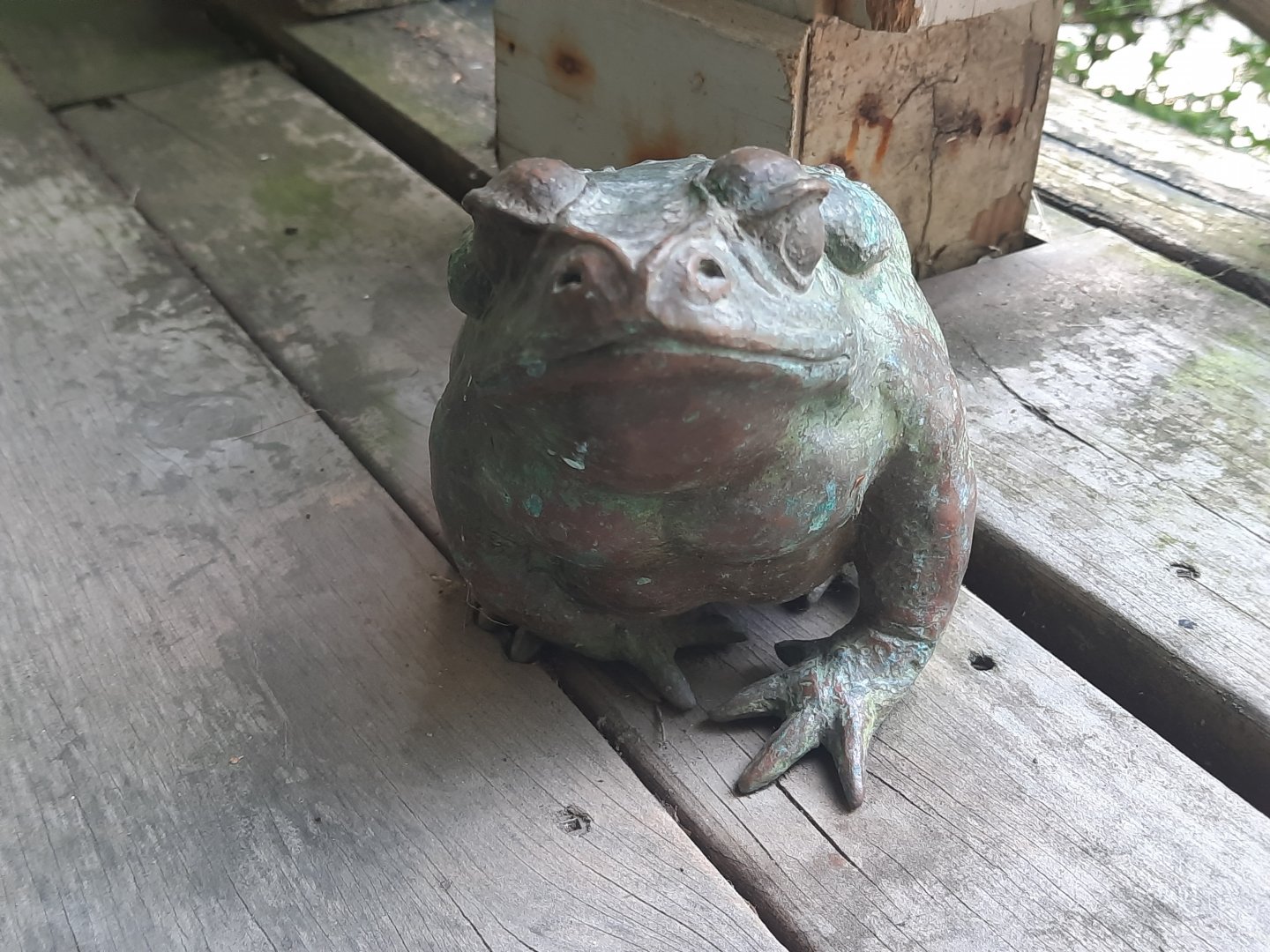 Cane Toad Sculpture