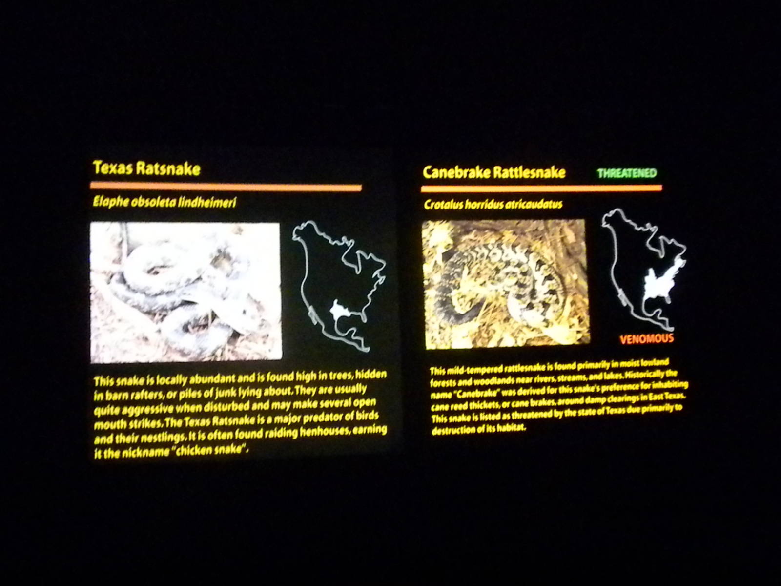 Canebrake Rattlesnake and Ratsnake signs