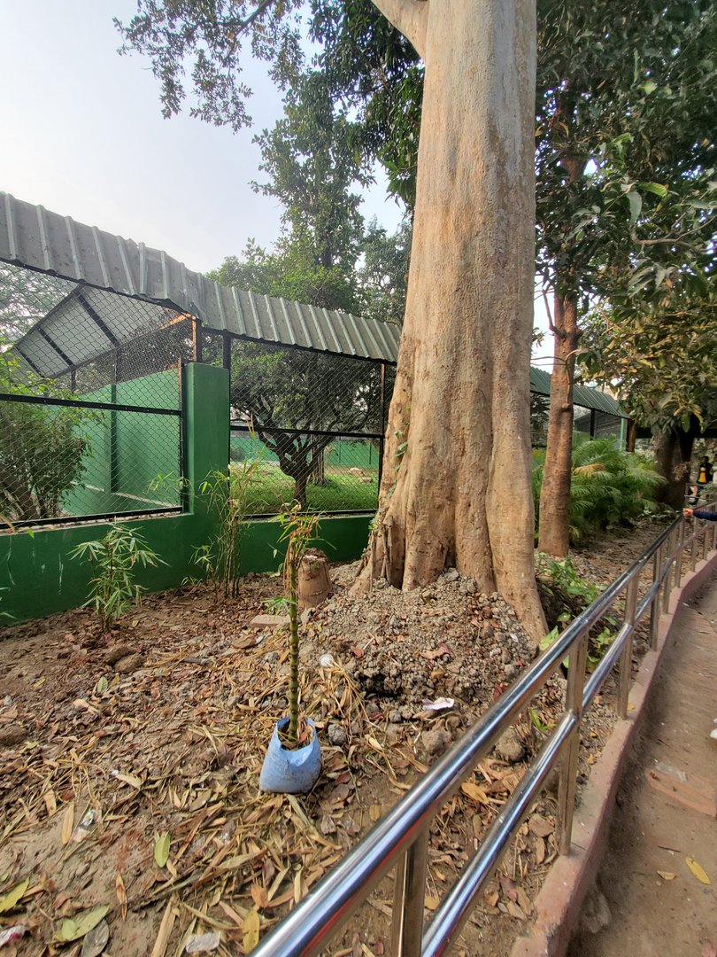 Canine Exhibit Barriers - January 2023