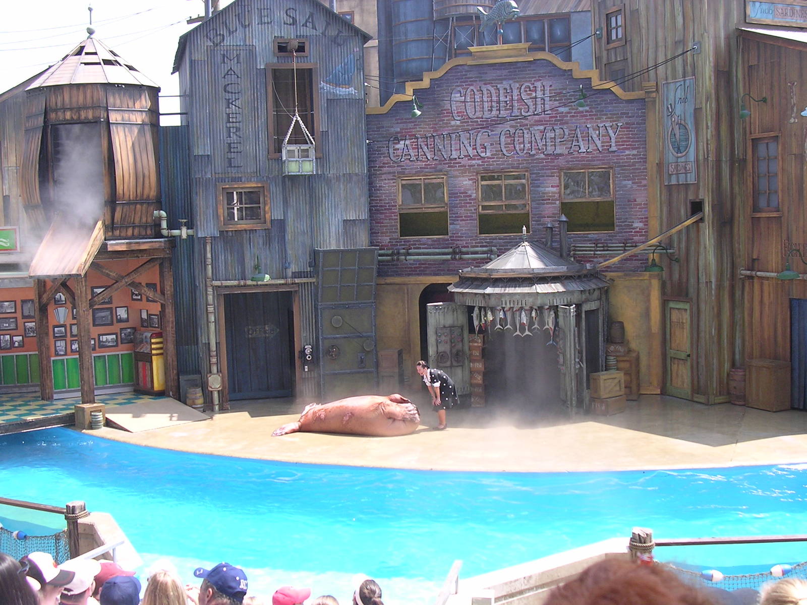 Cannery Row Caper with walrus