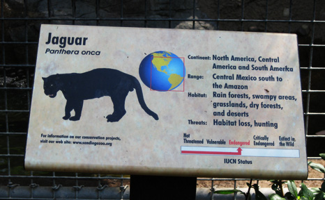 Cannot believe what you read