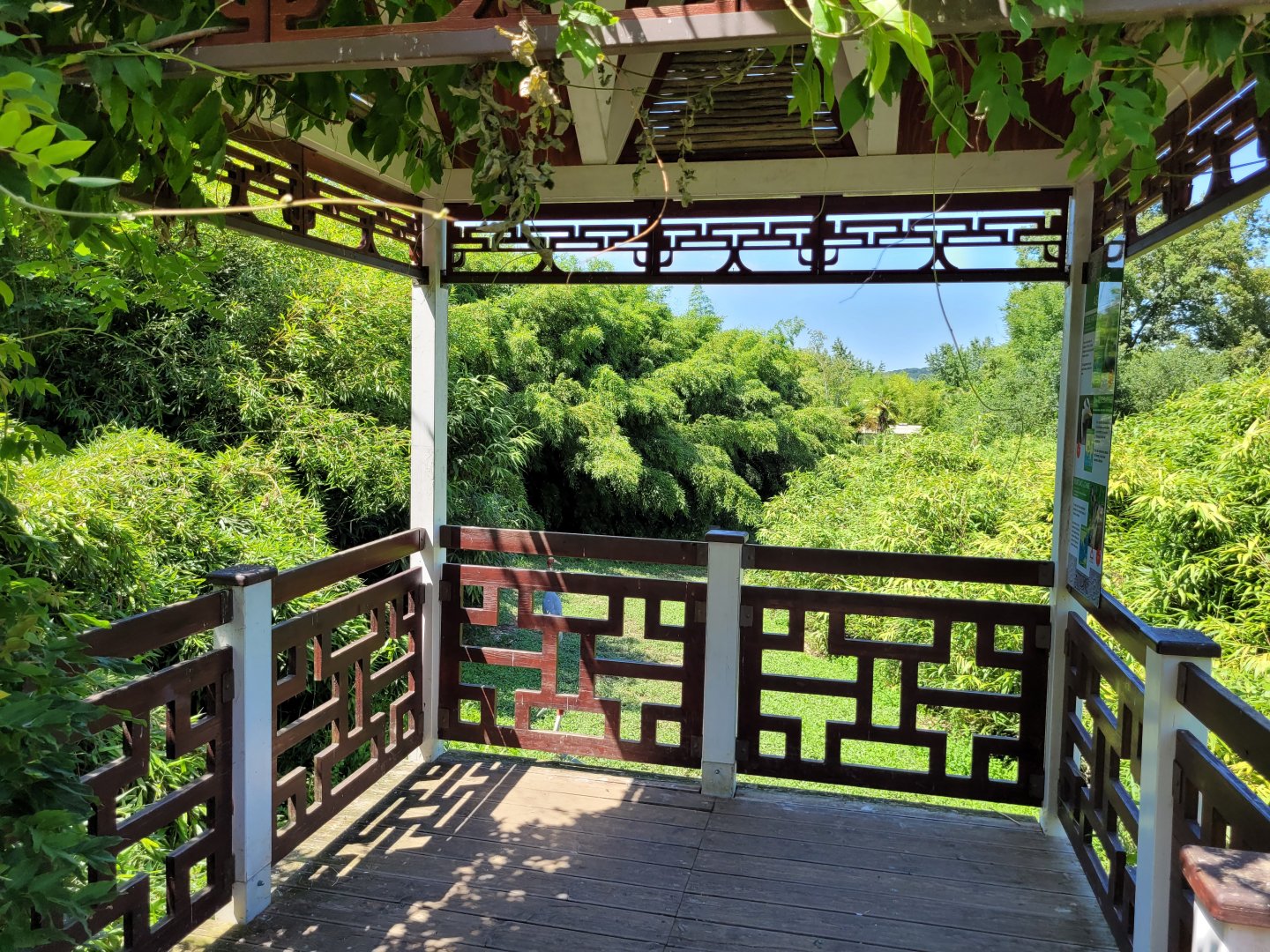 Canopy at the "Praire asiatique" -Zoo d'Asson (2022)