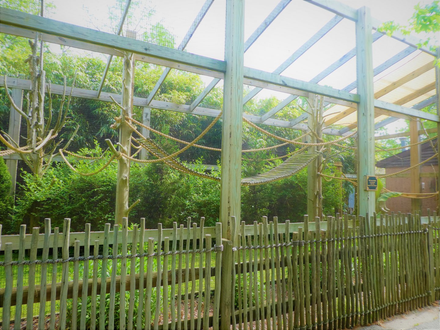 Canopy Creatures - Bearded Emperor Tamarin Exhibit